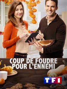 TF1 - Coup de foudre pour l'ennemi