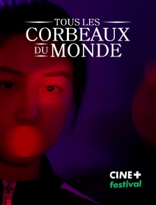 CINE+ Festival - Tous les corbeaux du monde