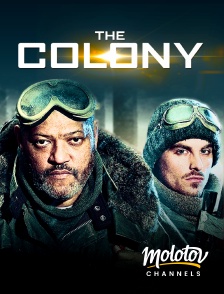 Molotov Channels - The colony