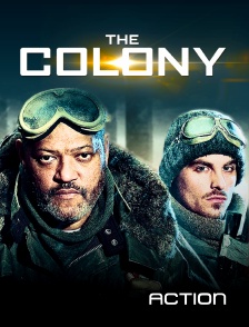 Action - The colony