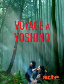 Arte - Voyage à Yoshino