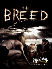 Molotov channels - The Breed