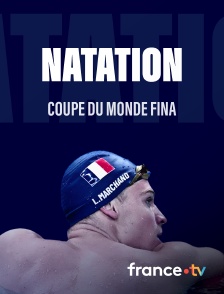 France.tv - Natation - Coupe du monde FINA en replay