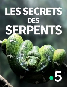 France 5 - Les secrets des serpents