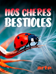 Arte - Nos chères bestioles