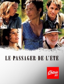 Chérie 25 - Le passager de l'été