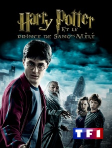 TF1 - Harry Potter et le prince de sang-mêlé