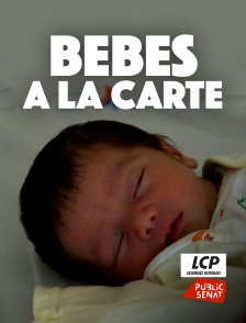 LCP Public Sénat - Bébés à la carte