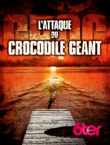 6ter - L'attaque du crocodile géant