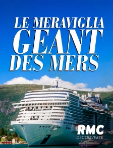 RMC Découverte - Le Meraviglia : géant des mers