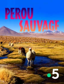 France 5 - Destination Wild : Pérou sauvage