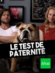 Téva - Le test de paternité