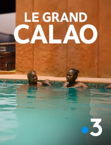 France 3 - Le grand calao en replay