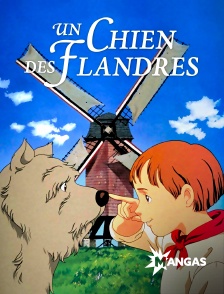 Mangas - Un chien des Flandres