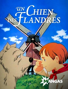 Mangas - Le Chien des Flandres