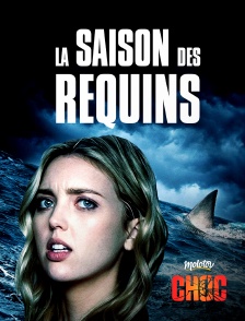 Molotov Channels CHOC - La saison des Requins