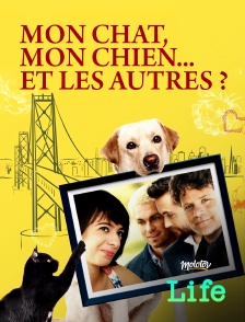 Molotov Channels Life - Mon chat, mon chien... et les autres ?