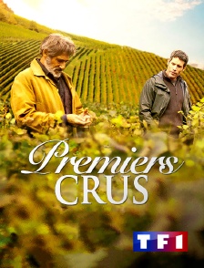 TF1 - Premiers crus