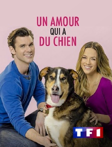 TF1 - Un amour qui a du chien