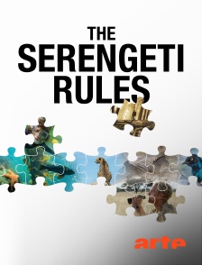 Arte - The Serengeti Rules