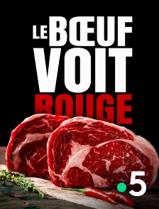 France 5 - Le boeuf voit rouge