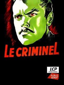 LCP Public Sénat - Le criminel