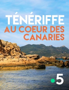 France 5 - Ténériffe, au coeur des Canaries