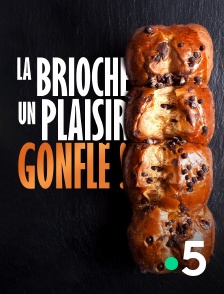 France 5 - La brioche, un plaisir gonflé !