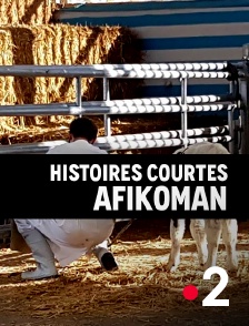 France 2 - Afikoman