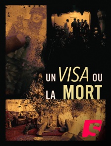 Spicee - Un visa ou la mort