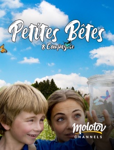 Molotov channels - Petites bêtes et compagnie