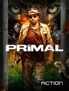 Action - Primal