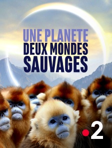 France 2 - Une planète, sept mondes sauvages