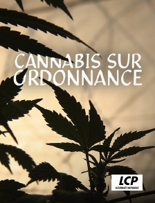 LCP 100% - Cannabis sur ordonnance