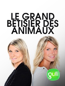 Gulli - Le grand bêtisier des animaux