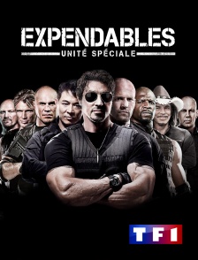 TF1 - Expendables : Unité spéciale