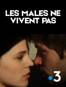 France 3 - Les mâles ne vivent pas