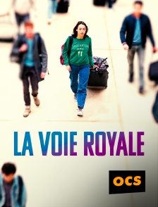 OCS - La voie royale