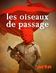 Arte - Les oiseaux de passage