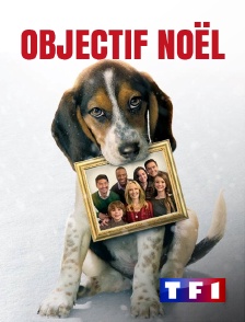 TF1 - Objectif Noël