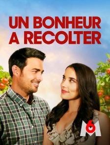 M6 - Un bonheur à récolter