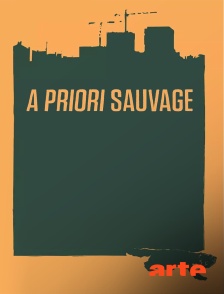 Arte - A priori sauvage