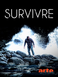 Arte - Survivre