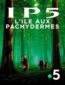 France 5 - IP5, l'île aux pachydermes