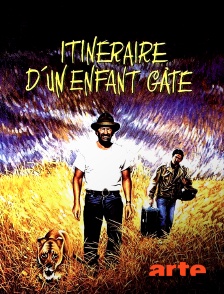 Arte - Itinéraire d'un enfant gâté