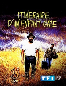 TF1 Séries Films - Itinéraire d'un enfant gâté