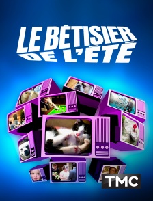 Le bêtisier de l'été