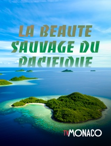 TV Monaco - La beauté sauvage du Pacifique