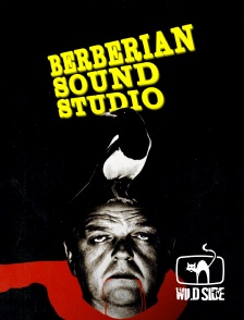 Molotov channels - Berberian sound studio