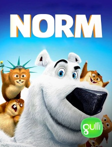 Gulli - Norm